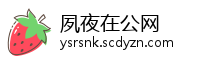 夙夜在公网